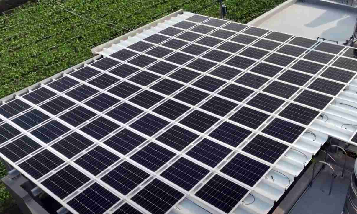 云顶国际8588ydSunSteel光电浪板升级双玻结构，，以提升机械负载强度及气候耐候度，，，，可广泛运用于多元场域